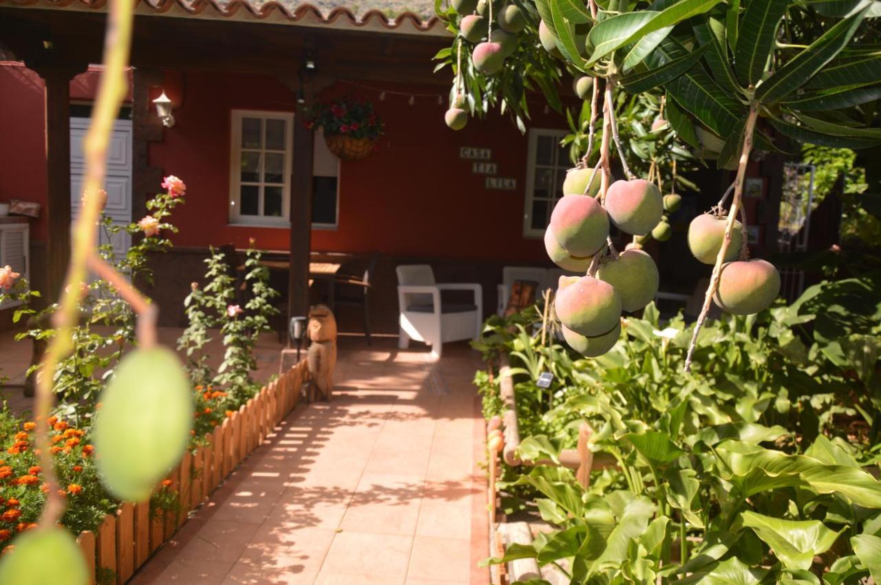 Holiday House Tia Lila San Sebastián de la Gomera Dış mekan fotoğraf