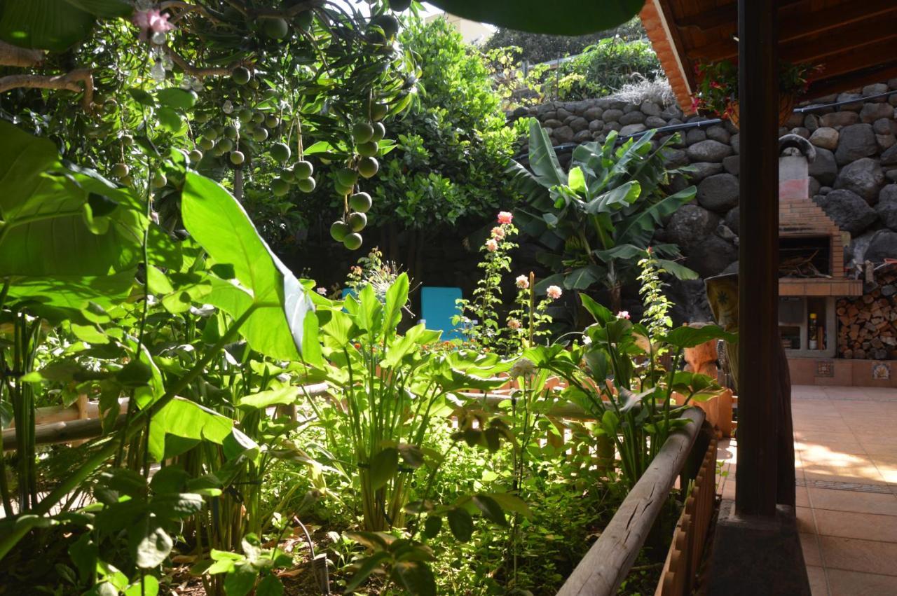 Holiday House Tia Lila San Sebastián de la Gomera Dış mekan fotoğraf
